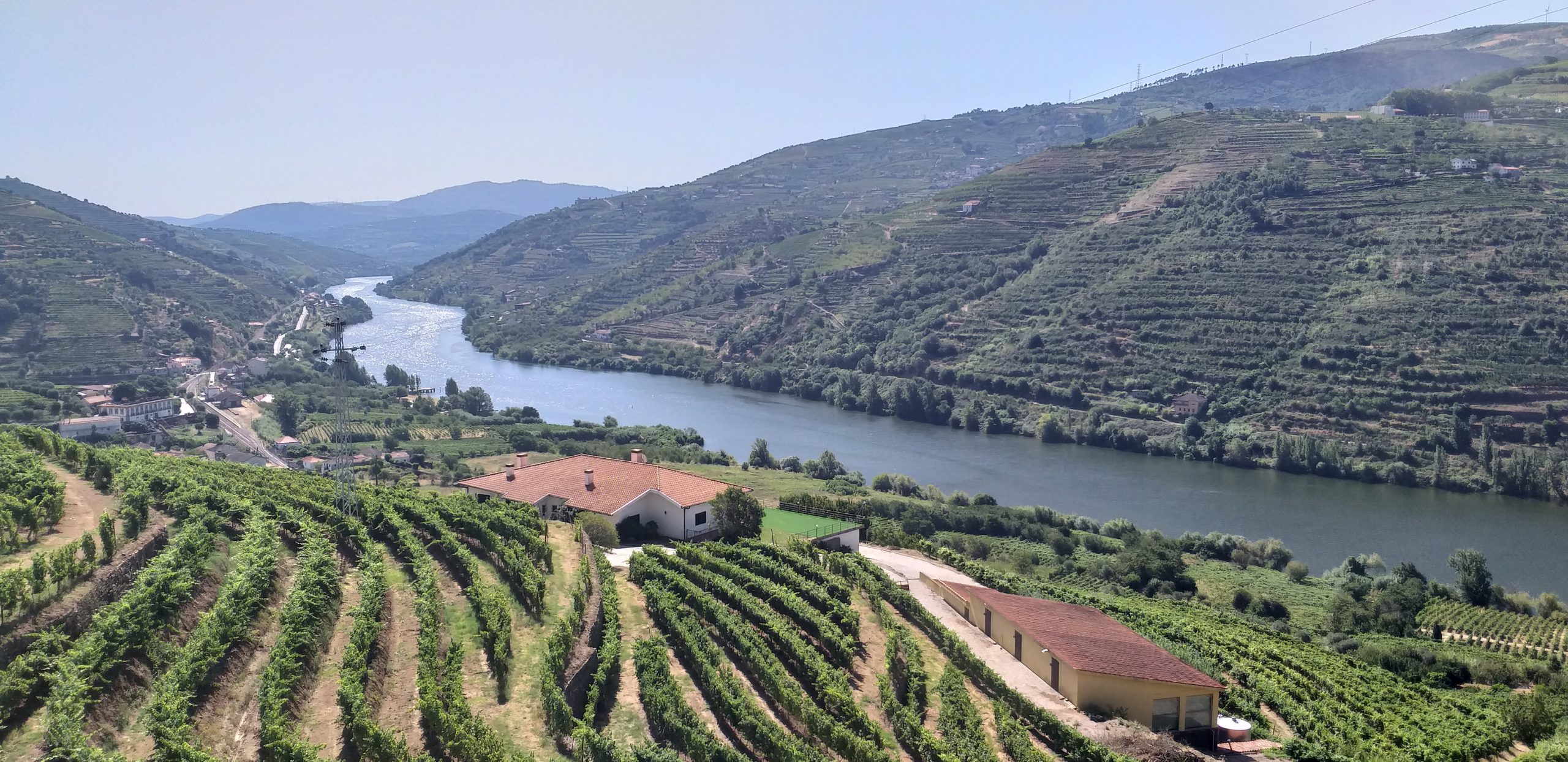 private wine tours douro valley