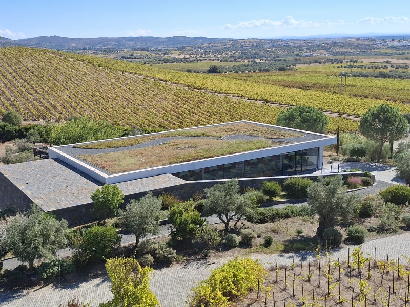 Alentejo Local Wineries