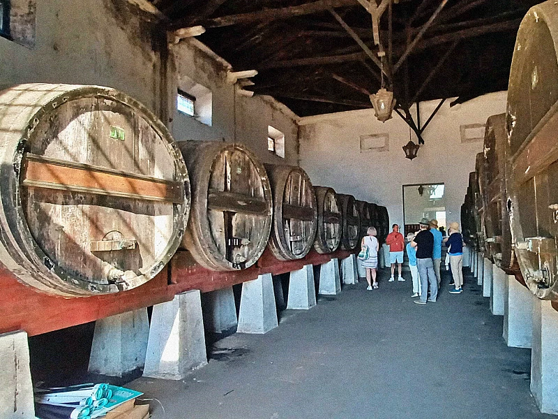 Wine Experience in Lisbon