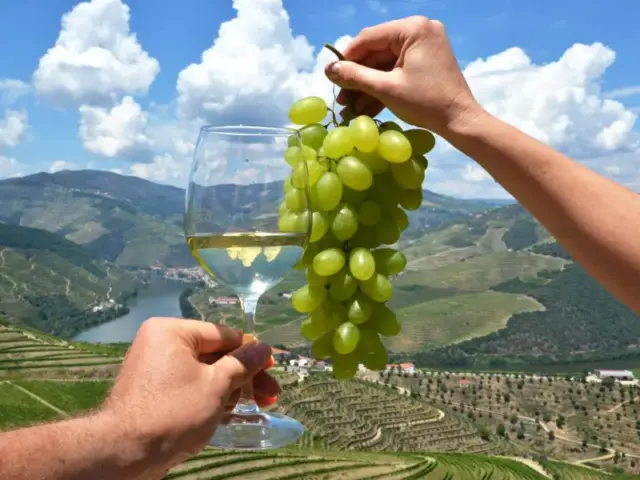 Private Full Day Green Wine Tour