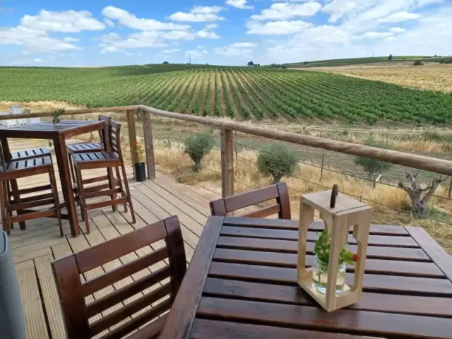 Private Full Day Alentejo Wineries Tour