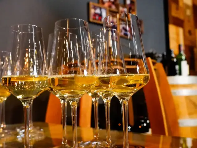 Private Full day Walking Lisbon Tour with Wine Tasting