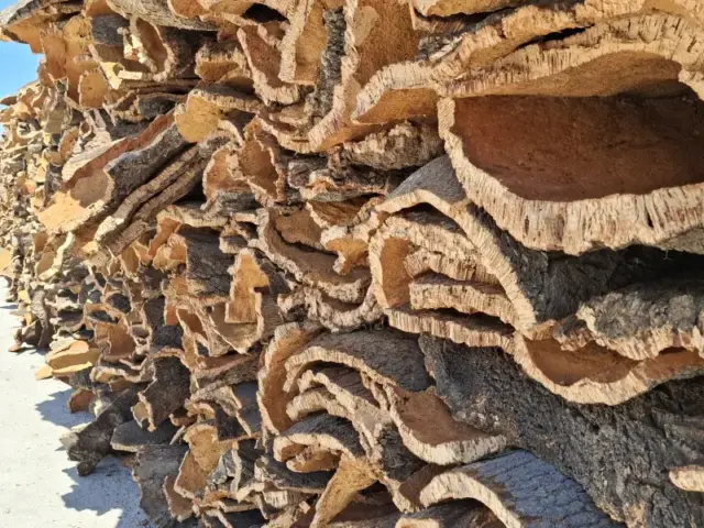 Private Full Day Wine & Cork Tour