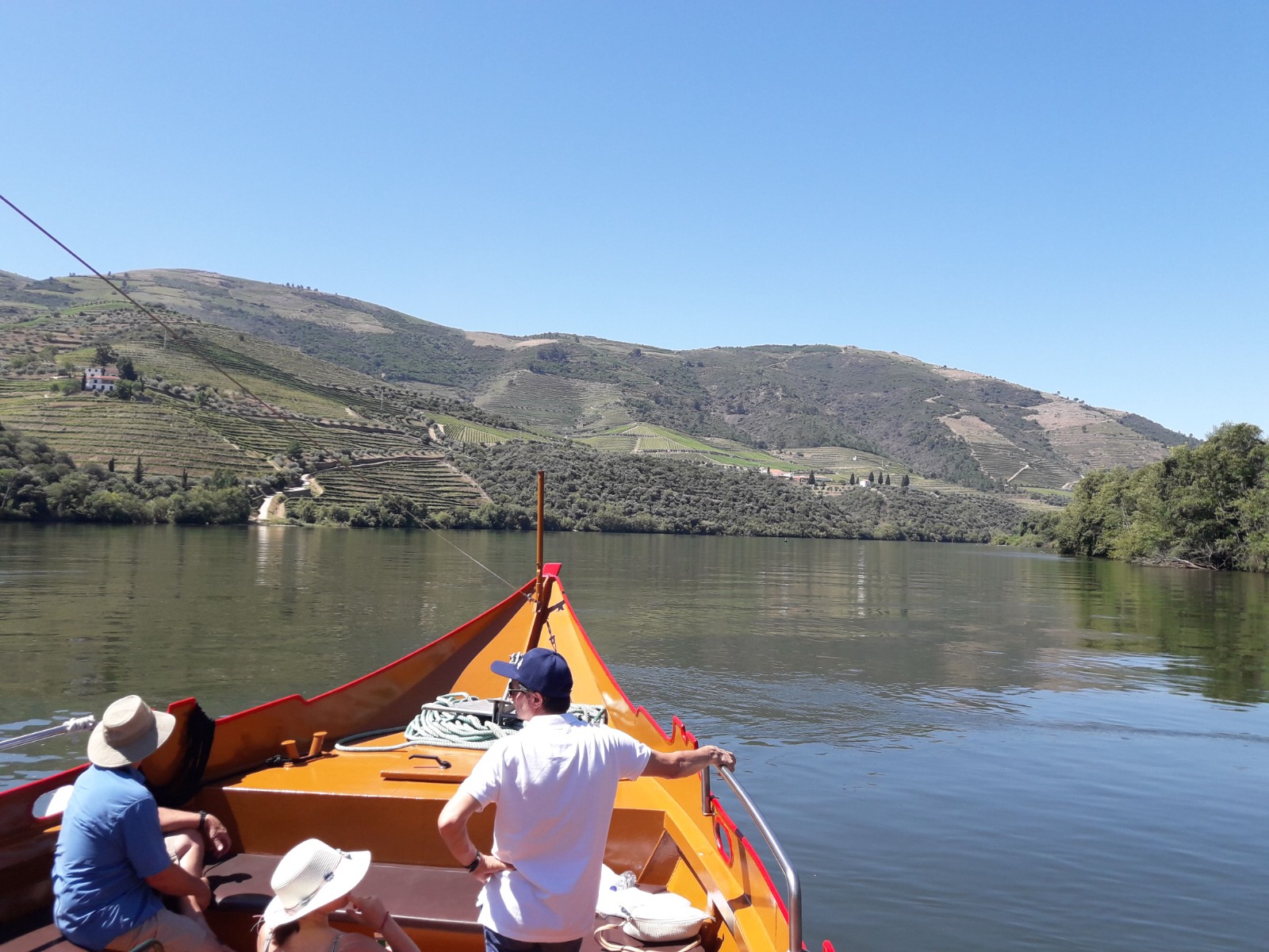 Douro Cruise 1h (small group)